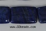 CNL537 15.5 inches 20*30mm rectangle natural lapis lazuli gemstone beads