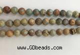 CNS703 15.5 inches 10mm round serpentine jasper beads wholesale