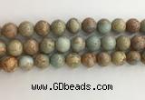 CNS704 15.5 inches 12mm round serpentine jasper beads wholesale