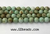 CNT419 15.5 inches 12mm round mongolian turquoise beads wholesale