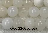 COP1588 15.5 inches 6mm round white opal gemstone beads