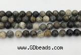 COP1603 15.5 inches 10mm round moss opal beads wholesale