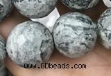 CPJ646 15.5 inches 16mm faceted round grey picture jasper beads