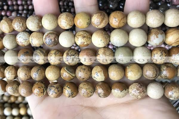 CPJ661 15.5 inches 10mm round picture jasper beads wholesale