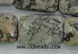 CPT131 15.5 inches 20*30mm faceted rectangle grey picture jasper beads