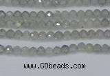 CRB1936 15.5 inches 2*3mm faceted rondelle labradorite beads