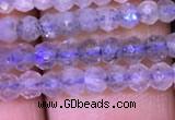 CRB1980 15.5 inches 3*4mm faceted rondelle labradorite beads