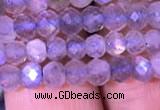 CRB1981 15.5 inches 3*5mm faceted rondelle labradorite beads