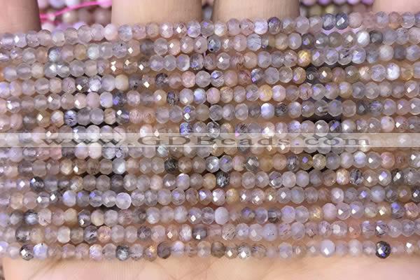 CRB2219 15.5 inches 2*3mm faceted rondelle moonstone beads