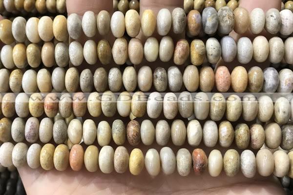 CRB5355 15.5 inches 5*8mm rondelle fossil coral beads wholesale