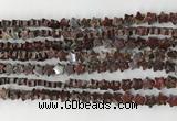 CRG30 15.5 inches 6mm flat star poppy jasper beads wholesale