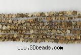 CRG33 15.5 inches 6mm flat star picture jasper beads wholesale