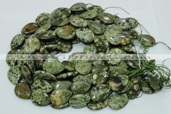 CRH49 15.5 inches 22*30mm flat teardrop rhyolite beads wholesale