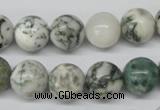 CRO300 15.5 inches 12mm round tree agate beads wholesale