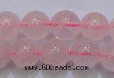 CRQ253 15.5 inches 10mm round rose quartz beads Wholesale