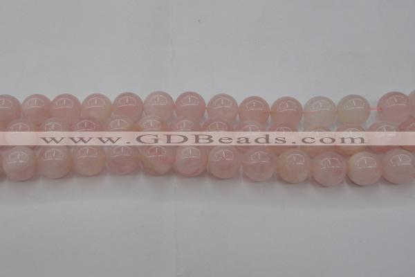 CRQ673 15.5 inches 12mm round rose quartz beads wholesale