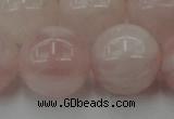 CRQ676 15.5 inches 16mm round rose quartz beads wholesale