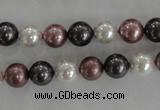 CSB1045 15.5 inches 8mm round mixed color shell pearl beads