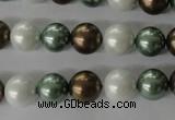 CSB1055 15.5 inches 10mm round mixed color shell pearl beads