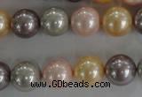 CSB1093 15.5 inches 12mm round mixed color shell pearl beads