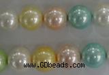 CSB1098 15.5 inches 12mm round mixed color shell pearl beads