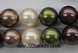 CSB1129 15.5 inches 14mm round mixed color shell pearl beads