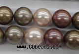 CSB1141 15.5 inches 14mm round mixed color shell pearl beads