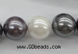 CSB1150 15.5 inches 16mm round mixed color shell pearl beads