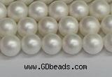 CSB1601 15.5 inches 6mm round matte shell pearl beads wholesale