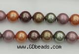 CSB312 15.5 inches 8mm round mixed color shell pearl beads