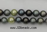 CSB316 15.5 inches 8mm round mixed color shell pearl beads