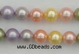 CSB330 15.5 inches 10mm round mixed color shell pearl beads