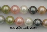 CSB331 15.5 inches 10mm round mixed color shell pearl beads