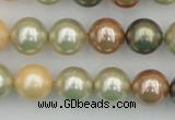 CSB359 15.5 inches 12mm round mixed color shell pearl beads