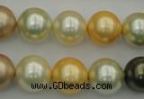 CSB374 15.5 inches 14mm round mixed color shell pearl beads