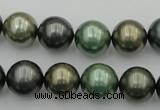 CSB385 15.5 inches 14mm round mixed color shell pearl beads