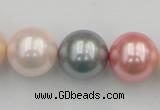 CSB391 15.5 inches 16mm round mixed color shell pearl beads