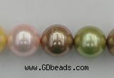 CSB393 15.5 inches 16mm round mixed color shell pearl beads