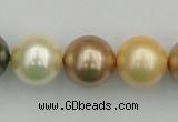 CSB394 15.5 inches 16mm round mixed color shell pearl beads