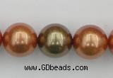 CSB397 15.5 inches 16mm round mixed color shell pearl beads