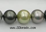 CSB398 15.5 inches 16mm round mixed color shell pearl beads