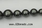 CSB403 15.5 inches 8mm - 16mm round shell pearl beads