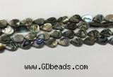 CSB4136 15.5 inches 10*14mm flat teardrop abalone shell beads