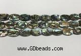 CSB4161 15.5 inches 12*16mm flat drum abalone shell beads wholesale