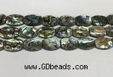 CSB4164 15.5 inches 18*25mm flat drum abalone shell beads wholesale