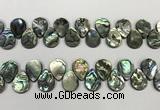 CSB4183 Top drilled 13*18mm flat teardrop balone shell beads