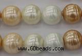 CSB624 15.5 inches 14mm whorl round mixed color shell pearl beads