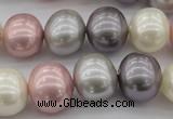 CSB694 15.5 inches 13*15mm oval mixed color shell pearl beads