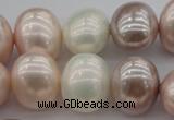 CSB713 15.5 inches 16*19mm oval mixed color shell pearl beads