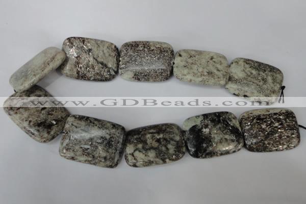 CSI50 15.5 inches 30*40mm rectangle silver scale stone beads wholesale